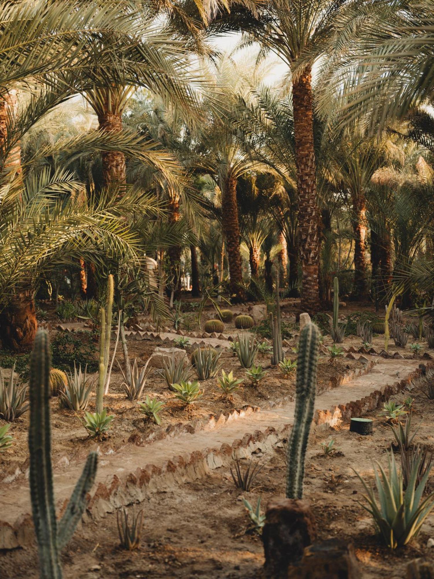 Al Moudira Hotel Luxor Exterior photo